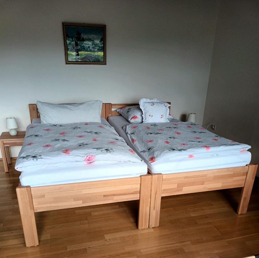 Buedingen-Ferienwohnung Bausch ภายนอก รูปภาพ